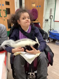 One of the students holds a skunk on their lap.